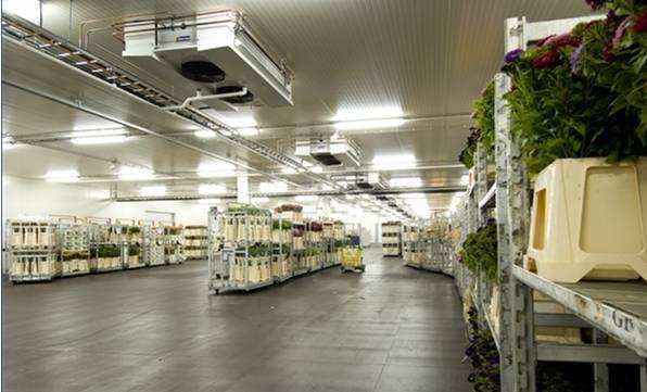 寧波建冷庫(kù)多少錢(qián)一立方？每立方能存多少貨物